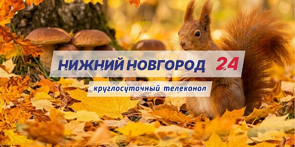 ��������� ������� ���������� ������� �������� 24� �� 14 ��������