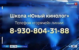 Новость