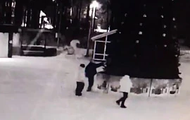 �������