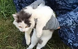 �������