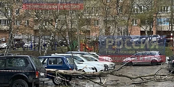  ����� ������ ��� ���� ������, �� ���� ��� �� ��. �������� 