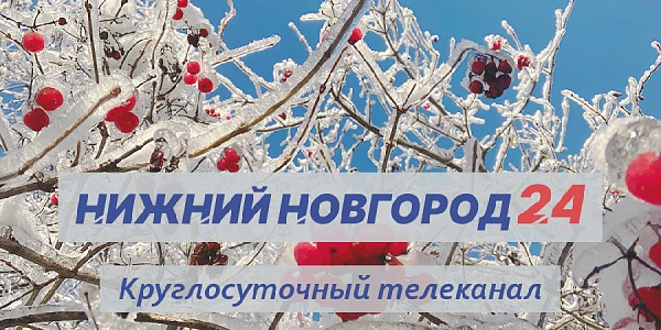 ��������� ������� ���������� ������� �������� 24� �� 20 �������