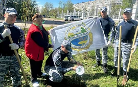 Новость