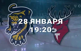 Новость