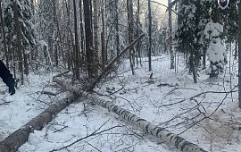 �������