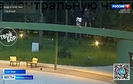Новость
