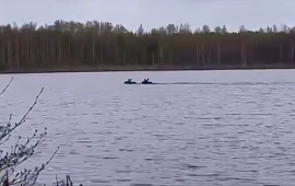 Новость