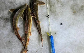 �������