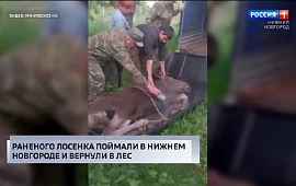 Новость