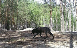 Новость