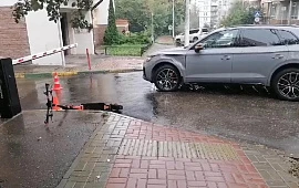 �������