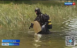 Новость