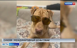 Новость