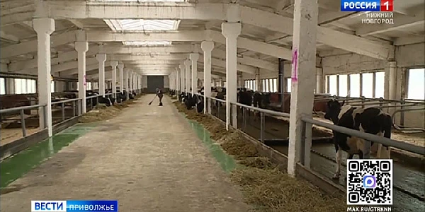 ������������� ������� ����� � ���-5 �������� ������������ ������������ ������ �� ������������ ��� � ������