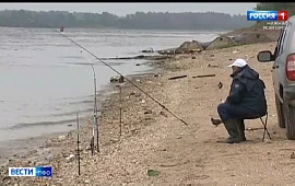 Правила для рыбаков: Андрей Хрулёв рассказал об особенностях ограничений на время нереста