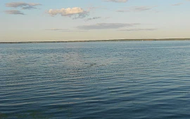 Новость
