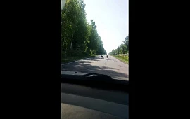 �������