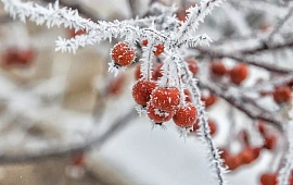 �������