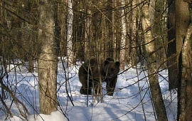 �������