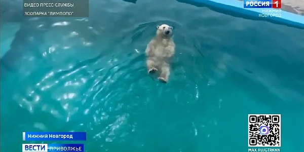 ��������� ���� �����, ��� �������� �� ����