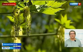 Новость