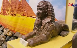 �������