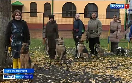 Новость