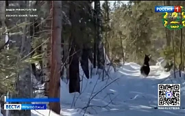 �������