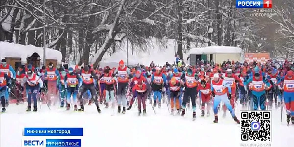 � ������������� ������ �������� ������� ������� 650 �����������