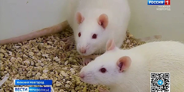 ������������� ������ � ������� �������������� ��������� �������� �������� ������ � ����