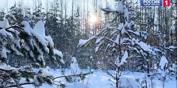 ��� ���������� � ����, ����� �� ������� ������? 