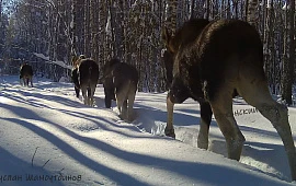 �������