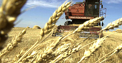 Сельскохозяйственная перепись пройдет в 2016 году в Нижегородской области