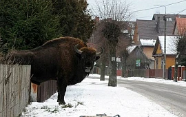 �������