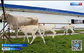 Новость
