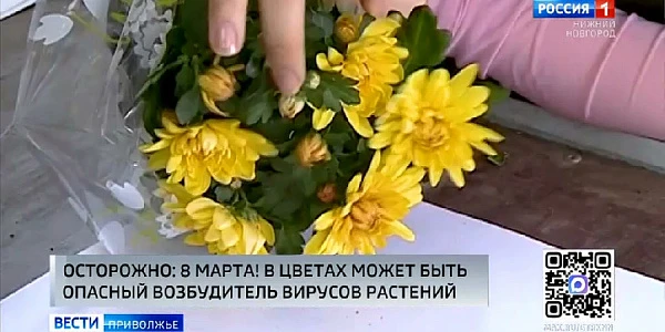 �������� ��������� - ��������� ���������� ������ - ����� �������� � ��� ������ � �������