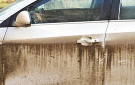 �������