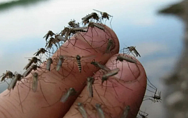 �������