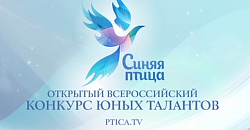 В Нижнем Новгороде прошел отборочный этап Всероссийского конкурса юных талантов "Синяя птица"
