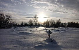 �������