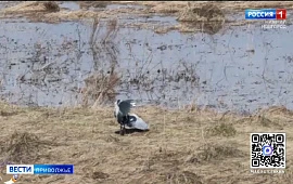 �������