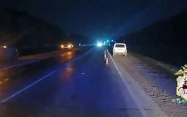 ������������������ ������������ ����� � ��� � ������������������ ������. ���������� ��������� ����