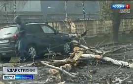 �������