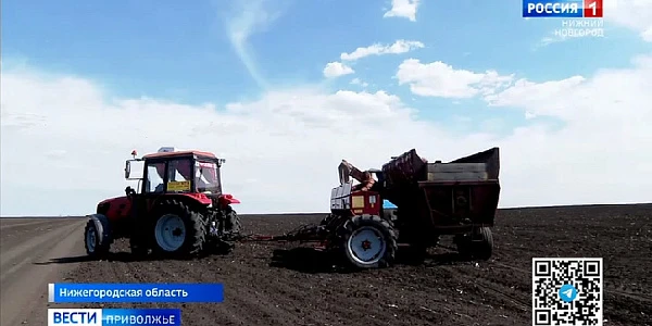 Посевная кампания в Нижегородской области завершена