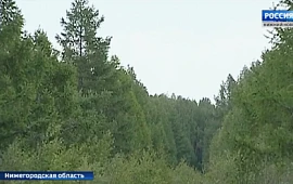 Новость