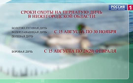 "��� � �������. �� ��������� �����������". ����� ����� ��-������������! 