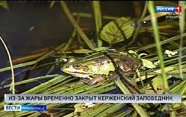 Новость