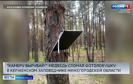 Новость