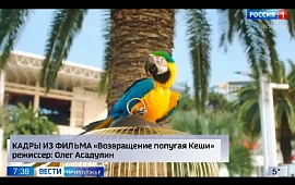 Новость
