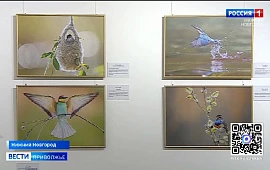 �������